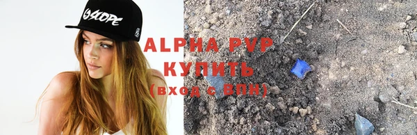 прущие грибы Козловка