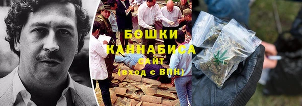 прущие грибы Козловка