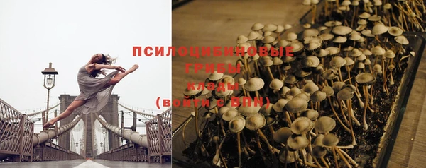 мяу мяу мука Кодинск