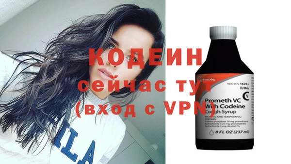прущие грибы Козловка