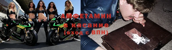 прущие грибы Козловка