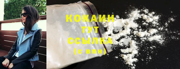 дмт Козельск