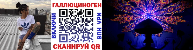 Галлюциногенные грибы Psilocybine cubensis Усть-Джегута
